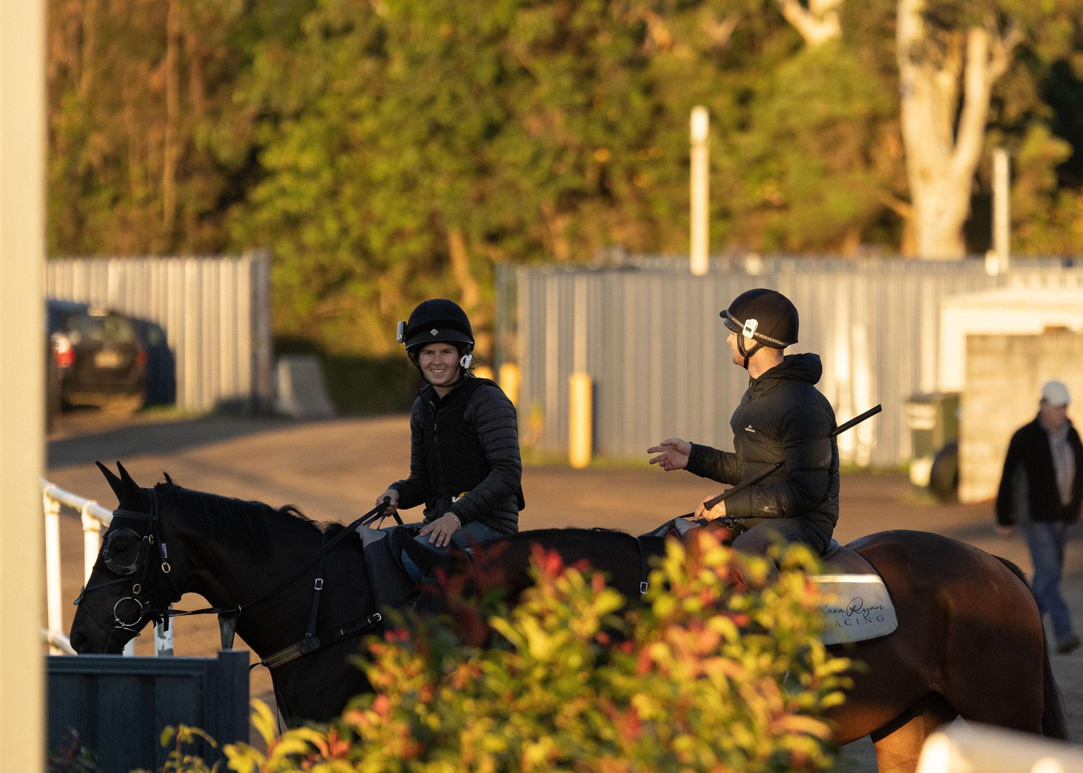 Picture of the author